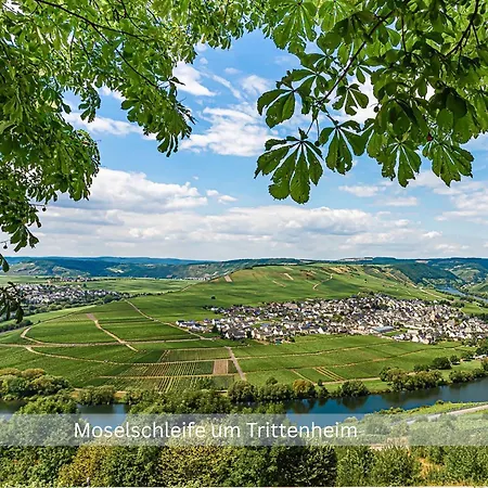 Kinofilmwohnung Mit Grossem Dachgarten Im Gaestehaus Graf-schmelzer Apartment *