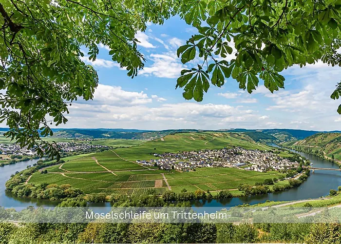 Kinofilmwohnung Mit Grossem Dachgarten Im Gaestehaus Graf-schmelzer 公寓 *
